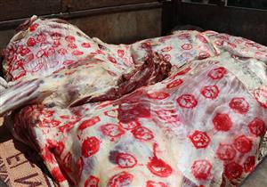 ضبط طني لحوم ودواجن داخل مجزر بدون تصريح في المنيا