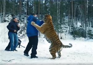 شاهد بالفيديو كيف تعرض شريف عامر لهجوم من "نمر" رامز جلال