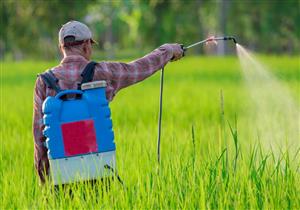 للمزارعين.. المبيدات الحشرية ربما تصيب بالشلل الرعاش