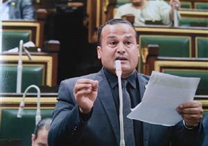 ظهر في فيديو ينزع الأسفلت بيده.. برلماني: "أعمال الرصف بالدلنجات إهدار مال عام"