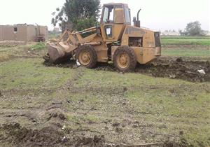 بالصور- إزالة 6 مشاتل أرز بقرية مشتهر في القليوبية