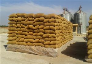 وصول 4 شحنات قمح إلى ميناء الإسكندرية.. والمخزون يرتفع لـ1.2 مليون طن