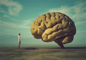 اكتشاف جينات فريدة خلف المخ