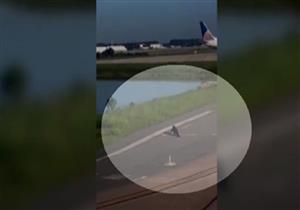 طائرة تتأخر في الوصول بعد لحظات من هبوطها والسبب "تمساح"