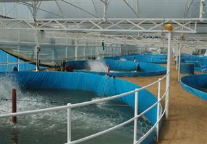 ​"الزراعة" تبحث تنفيذ نماذج للاستزراع السمكي بالمناطق الصحراوية