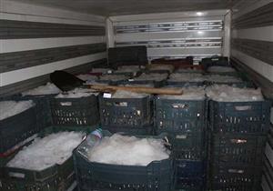 طرح 3 أطنان سمك مصادره في مزاد علني بالمنصورة