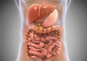 بكتيريا الأمعاء تساعد على تشخيص الكبد الدهني مبكرا