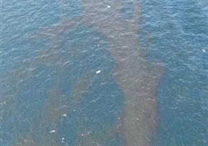 "البيئة" و"علوم البحار" يفحصان بقعة زيت بخليج السويس