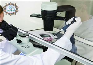 حكم إفطار الصائم لاستكمال إجراءات التلقيح المجهري 