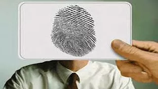 لماذا لا تتطابق بصمات التوائم المتطابقة رغم تشابه حمضهما النووي؟