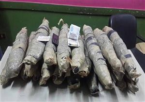 ضبط عاطل وبحوزته 40 كيلو بانجو في الدقهلية