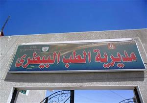 إعدام 534 كلبًا وذئبًا وثعلبًا وحيوانات ضالة أخرى في حملة بالوادي الجديد