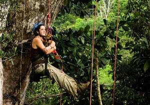 فرنسا تفوز بلقب البطولة الأوروبية لتسلق الأشجار (فيديو)