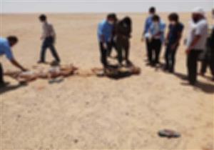 جثة الأب تجاور الابن.. تفاصيل جديدة في لغز جريمة سيارة الواحات