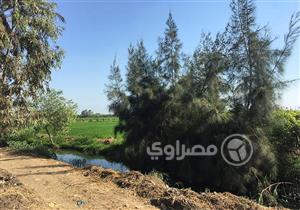 لحظات الغدر والوداع.. حكايات ضحايا "قرية الأفاعي" (معايشة بالصور)