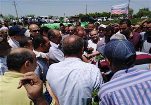 وزير الزراعة: 40 ألف فدان حجم المساحة المنزرعة من القطن في الصعيد