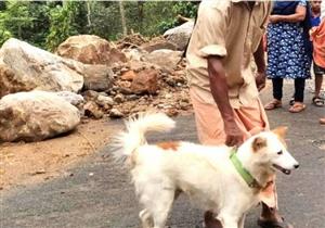 كلب ينقذ عائلة من الموت.. "تنبأ بكارثة طبيعية قبل وقوعها"