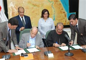 لأول مرة منذ 10 سنوات.. شراء الذرة من المزارعين لصالح منتجي الدواجن