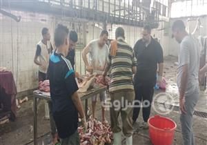 بالصور.. مراحل ذبح الأضاحي بمجزر البساتين الآلي