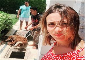 بالصور والفيديو- نجوم الفن يحتفلون بالعيد بذبح الأضحية