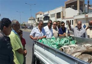 ضبط ربع طن أسماك فاسدة في بورسعيد