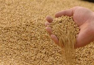 تأجيل نظر إشكال يطالب باستمرار تنفيذ حكم منع استيراد "قمح الإرجوت" لـ 13 أكتوبر