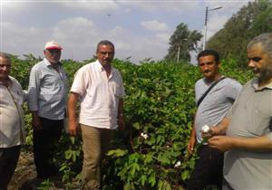  "الزراعة" تكثف المرور الميداني لحل مشكلات المزارعين في الغربية والشرقية