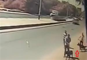 بعد كلب "سيد سيكا".. التحريات تكشف ملابسات فيديو "فتاة الحوامدية" 