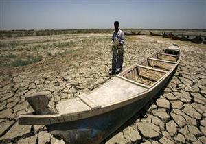 تحليل - زراعة العراق تستغيث.. هل من مجيب؟