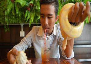 بالصور.. مقهى يقدم الشاي والقهوة برفقة الزواحف