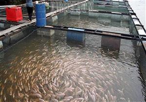 طرح 18 مزرعة سمكية في دمياط للإيجار