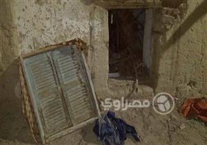 بالصور..النمل الأبيض يتسبب في انهيار جزئي بعقار بالوادي الجديد