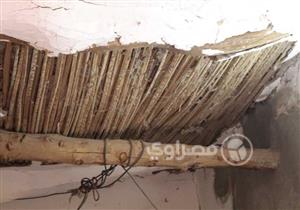 بالفيديو والصور- النمل الأبيض يهاجم قرية بالوادي الجديد.. والمسؤولون: "الأهالي رافضين دفع تمن المبيد"