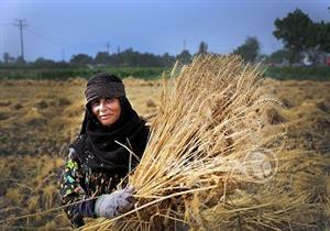 "محلاها عيشة الفلاحة"- صور