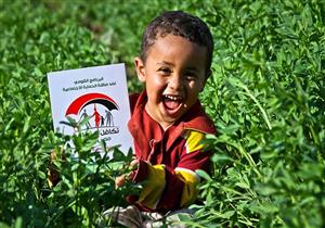 كيف تخطط وزارة التضامن لتطبيق شروط معاش تكافل وما عقوبات المخالفين؟