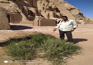  بالصور.. رش معبد أبوسمبل بالمبيدات للقضاء على الحشرات والقوارض 