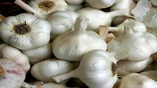 رقم قياسي.. الزراعة: تصدير 2500 طن ثوم لأمريكا في 2025