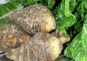 زيادة القلقاس والبرتقال.. أسعار الخضر والفاكهة خلال أسبوع