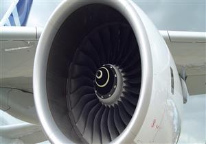 وكيل زراعة جنوب سيناء: إنتاج نباتات تستخدم زيوتها في محركات للطائرات