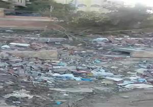 نهشته الكلاب.. أمن الدقهلية يضبط سيدة ألقت رضيعها في القمامة