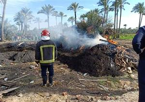 إزالة 125 مكمورة فحم مخالفة بدمياط (صور)