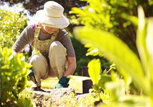 هواية قد تطيل عمرك إلى 100 سنة أو أكثر