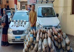 بنصف طن بانجو و24 طربة حشيش.. سقوط ضبط 3 تجار مخدرات بالدقهلية