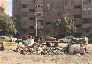 رش بؤر تجمعات القمامة بالجيزة لمكافحة الحشرات للحماية من الأمراض المتوطنة