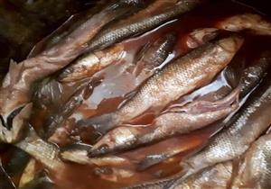 قبل شم النسيم.. إحباط ترويج فسيخ فاسد في السواق بالأزبكية