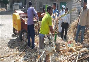 بالصور- 21 مفرمة للقضاء على حرق مخلفات الذرة في أسيوط