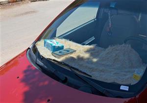 هل يكره وجود أكثر من مصحف في البيت والسيارة؟.. تعرف على رد المفتي السابق