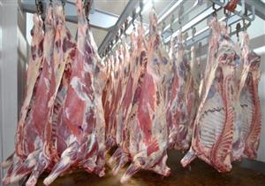 الحكومة تحسم الجدل بشأن استيراد لحوم مذبوحة بـ"الصعق الكهربائي"