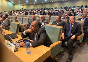 وزير الزراعة: 6 محاور لتحقيق الأمن الغذائي بأفريقيا