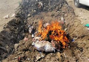 إعدام 450 كيلو لحوم غير صالحة للاستهلاك اﻵدمي بسوهاج